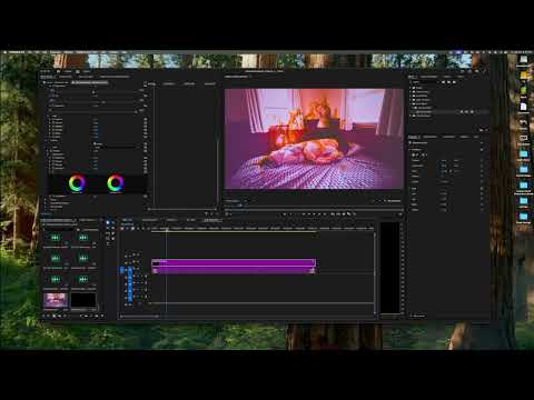 Art 300: Adjustment Layers and Color (re-upload)
