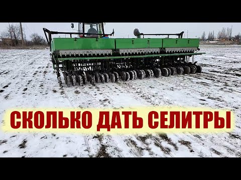 Сколько нужно давать аммиачной селитры при подкормке? Опыты с Агросфера. Новые технологии.