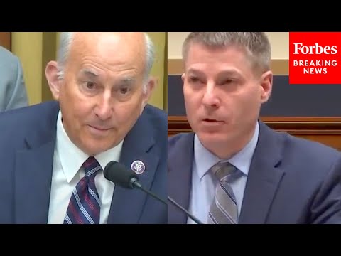 'So There'd Be A Lot?': Gohmert Grills FBI Cyber Official On FISA Surveillance Of US Citizens