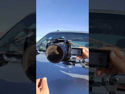 Who Uses LUMIX Professionally??? 😏🤫