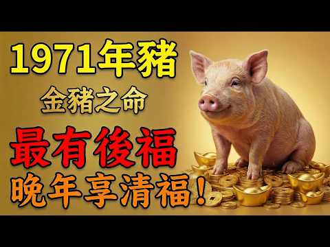 1971年屬豬人，金豬之命！你最有後福！年輕時受的苦，都是晚年享福的「本錢」，誰也搶不走！#1971年屬豬 #屬豬運勢 #生肖豬運勢 #屬豬 #1971年生肖豬 #財運 #辛亥豬 #後福 #生肖豬