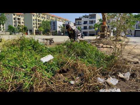 What makes an OVERGROWN SIDEWALK exist in this PROSPEROUS place but no one cleans it up?
