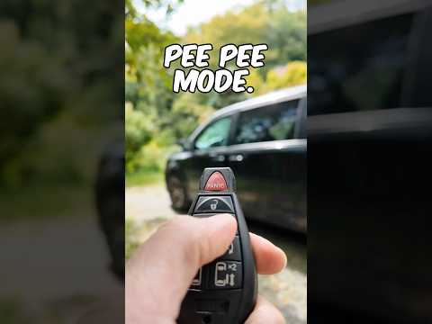 Unlocking Car's Secret Feature  #howto #funny #fail #car