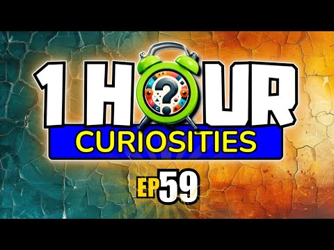 1 HOUR NON-STOP Cool Things you DIDN'T Know #59