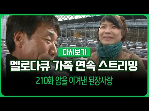 [다시보기] 몽글몽글 테레비 다시 보는 멜로다큐 가족 210화 암을 이겨낸 된장사랑 (풀영상)