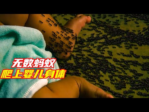 變異螞蟻有多可怕，所到之處只剩白骨；獵奇，懸疑，蟻群，電影解説