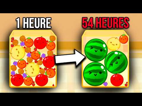 J'ai entraîné une IA au jeu de la pastèque (Suika Game)