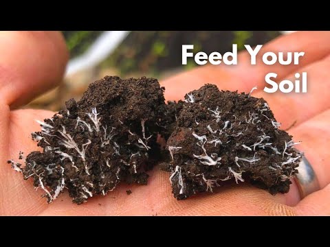 Feed Your Soil to Feed Your Plants | Compost mulches in a No Till System.