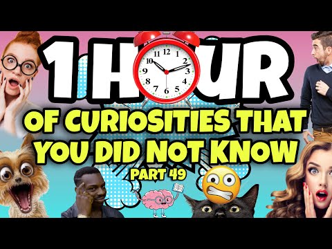 1 HOUR OF CURIOSITIES AND THINGS YOU DIDN'T KNOW 🧠⏰ #49