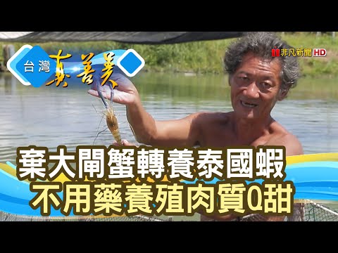 雪山下的“無毒泰國蝦”｜蘭楊蟹莊｜【台灣真善美】2021.10.17