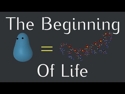 Mutations and the First Replicators