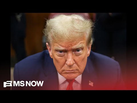 “Mass public revulsion” to mass deportation and what Trump’s immigration policy is REALLY doing