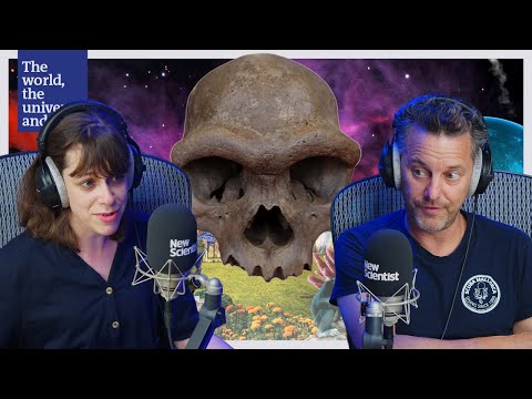 First skull of mysterious human ancestor discovered