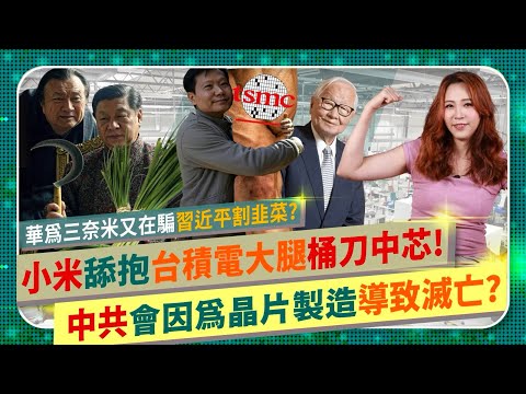中共晶片做越多倒越快？【小米跪抱台積電大腿？】習近平芯片大夢慘輸台灣美國，重演蘇聯崩潰！華為3奈米又騙補助割韭菜？中芯準備連賠20年？良率30%拖垮財報？半導體爭霸87中國仆街207