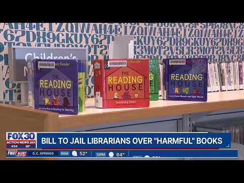 Georgia librarians could be jailed for providing 'harmful' books to kids under proposed law