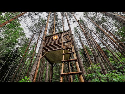 Man Built a SHELTER in a Tree from Bears in 13 Days