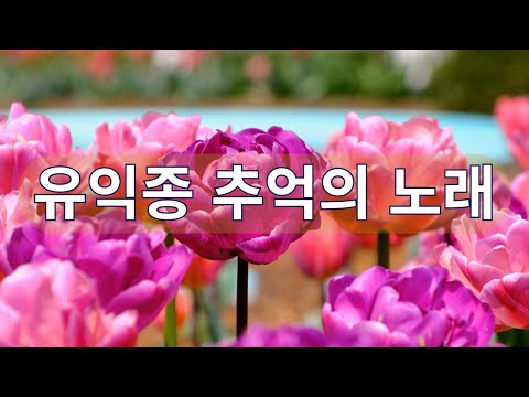 한 곡만 들으려다 끝까지 듣게 되는 유익종 #7080추억의노래 #유익종 #중년이좋아하는노래 #시니어 #중장년