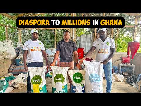 From the Diaspora to Owning a Feed Manufacturing Factory in Ghana
