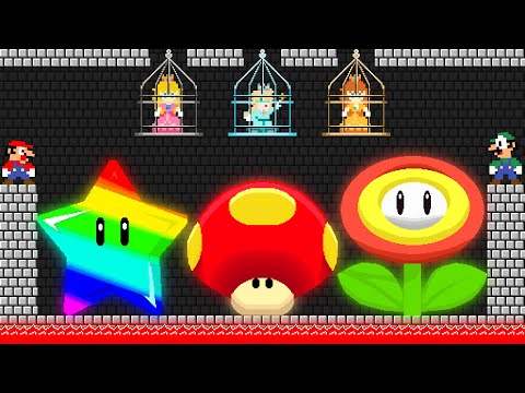 Mario and Luigi Together Save All the Princesses in New Super Mario Bros. Wii!