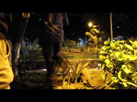 Lalo's Magic Music Leaf