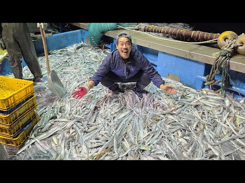 Let's catch tens of thousands of our country's national fish, the hairtail, and eat it raw!