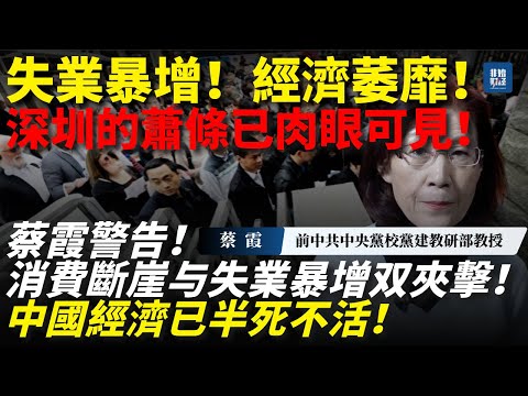 失業暴增，經濟萎靡！深圳的蕭條已肉眼可見！蔡霞警告：消費斷崖与失業暴增双重夾擊，中國經濟已半死不活！#蔡霞#中国經濟#中国经济#经济萎缩#中國房市#中国债务#地方財政#消费崩盘#房地产崩盘#失业潮