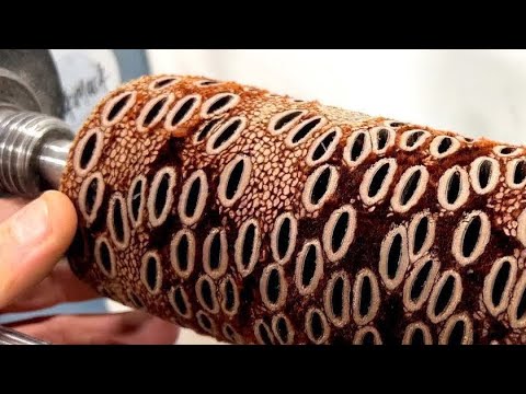 ⚠️ Warning ⚠️ Trypophobia Alert ‼️ 