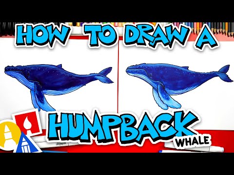 How To Draw A Humpback Whale