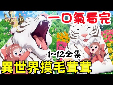 3歲女主擁火龍抱白虎，一口氣看完【為了在異世界也能撫摸毛茸茸而努力】1~12全集完整版