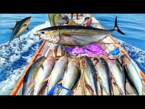 WOW🤩YELLOWFIN TUNA'S DAY!!CATCH BIGGEST TUNA'S IN SEA!!!