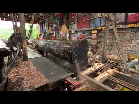 Sawing Walnut , Aspen & utility poles # 718