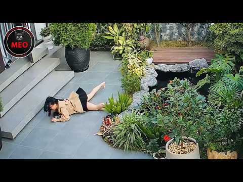 Moments when Thing Went Wrong (P147) | 2025 Idiots at Work & Instant Regret Fails Compilation