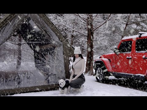 First Snow Camping of the Year ⛄ White Christmas in a Snowy Forest 🎄