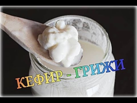 KEFIR /video in BG/  КЕФИР,  ГРИЖИ за него, РАЗДАВАНЕ и ЗАЩО го ползвам