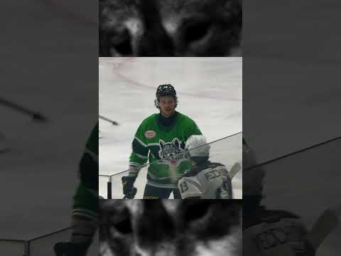 Nikita Pavlychev LAYS THE BOOM vs. Hershey Bears