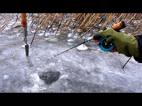 Зимова Рибалка на балансир МІКРОН, Окунь, Щука жадно клюють на МАЛЮКА