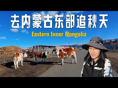 坐3天火车还没出省！从内蒙古最西到最东，东北早市让我大开眼界