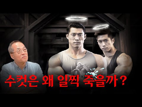 Why do men have shorter life expectancy than women? Why do males die sooner? Choi Jae-cheon, the ...