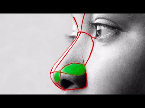 How to Easily Draw Noses | Understanding the Asaro Method Part II