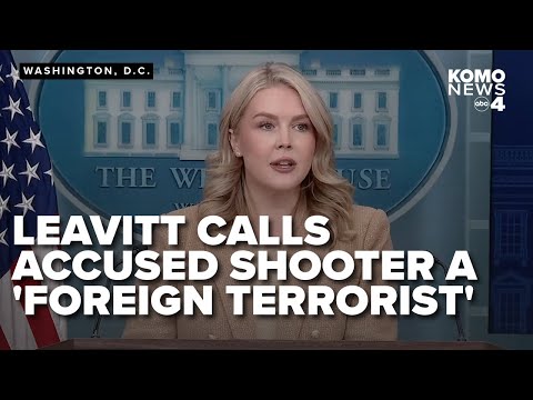 Karoline Leavitt calls accused DC shooter a ‘foreign terrorist'; Trump refocuses on deportations