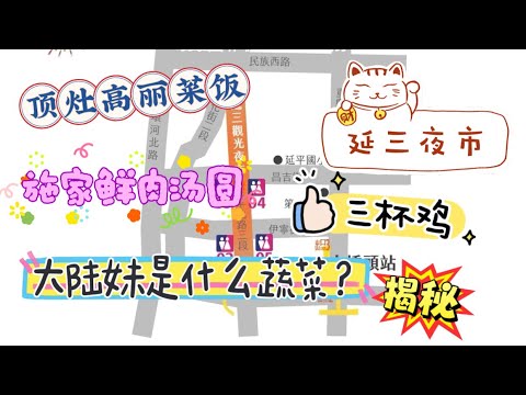 【台灣EP4】大陸客逛延三夜市,揭秘大陸妹是什麼蔬菜?
