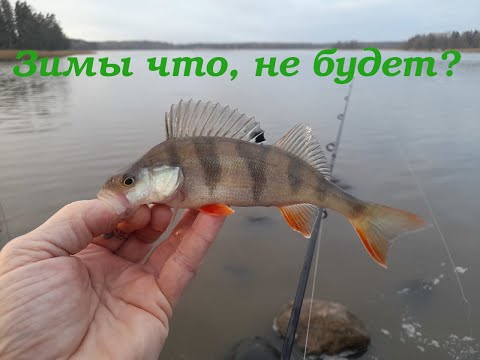 Saunalahti, льда еще нет, надо что то поймать...