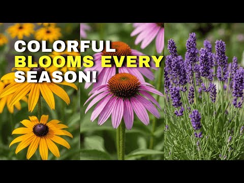 Top 9 Hard-to-Kill Perennials with Colorful Blooms That Return Year After Year