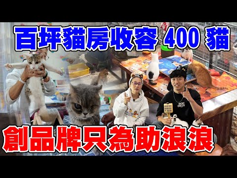 This enormous cat shelter houses over 400 cats! He founded his brand solely to rescue more stray ...