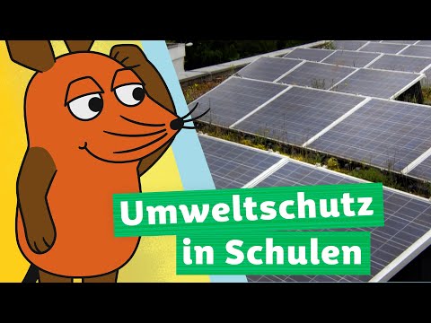Wie kann eine Schule Energie sparen?  | Die Maus | WDR