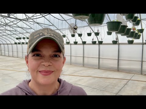 How We Create Hanging Basket Recipes & More!