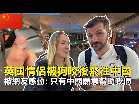 英國情侶被瘋狗咬傷後緊急飛往中國，被熱心網友感動：醫院→掛號→註射狂犬疫苗，全程一條龍服務#Chinatravel #中國 #中國旅遊