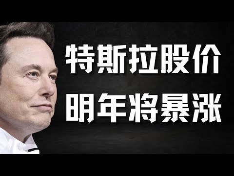 🚀 特斯拉股价直逼$500！史诗级2026即将到来！