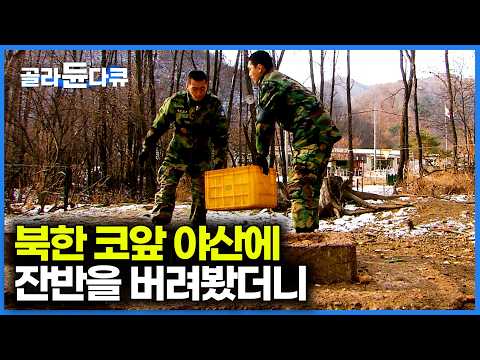 군부대에서 먹고 남은 잔반을 야산에 버렸더니｜강원도 양구 최전방 부대의 신기한 잔반처리법｜하나뿐인 지구｜#골라듄다큐