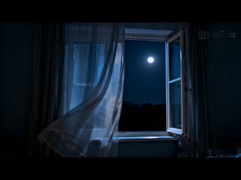 This Song Is Like Sitting in Silence After a Long Day